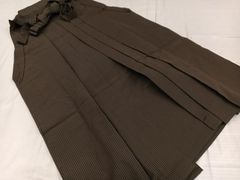 Item thumbnail for item 70f62ce4-4dbf-45d5-8014-3bec1dff5c13