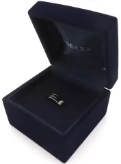 【中古】アクセサリー(非金属) DSS チョーカー風リング 「エヴァンゲリオン 最後のシ者 渚カヲル展」