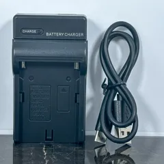 2025年最新】gv SONYの人気アイテム - メルカリ