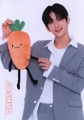 SEVENTEEN 2019 Happy Ending SHOWCASE JOSHUA トレーディングカード 0017