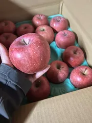 K¨̮⃝プロフ必読様専用