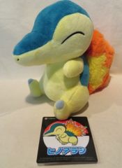 ポケモンセンター限定 ヒノアラシ ぬいぐるみ タグ付き - メルカリ