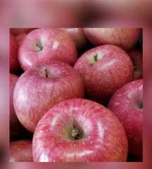 ☆★等級秀品です★☆青森産ふじ林檎☆５〜７玉入箱☆フジリンゴ☆