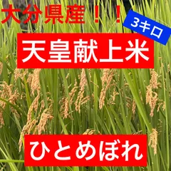 農家直送　玖珠米　ひとめぼれ　3キロ　特別栽培米　一等米　検査済み　天皇献上米！！豪華トレインななつ星でも使用されているお米のサムネイル