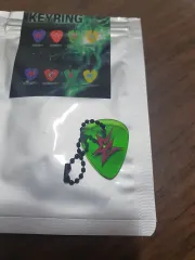 aespa(エスパ)ギターピックキーホルダー ウィンター