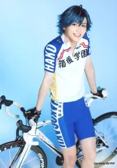 【中古】生写真(男性) 中島拓人(真波山岳)/キャラクターショット/舞台「弱虫ペダル」THE DAY 2 ブロマイド(個人セット)