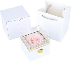 Item thumbnail for item dd427289-0bc4-45f5-be24-4ed61b5ea1a8