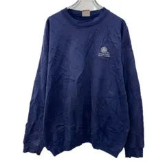 Champion ロゴスウェット トレーナー XL～ ネイビー ホワイト チャンピオン プルオーバー 刺繍ワンポイント 無地スウェット 秋物 a712-5964