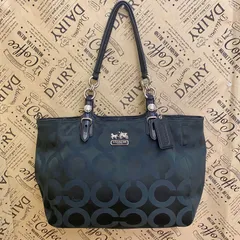 コーチ トート ハンドバッグ シグネチャー オプアート 黒 FZ152