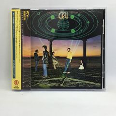 ☆スピッツ 1991-2011 言葉ははかない (写真集) 内藤順司 - メルカリ