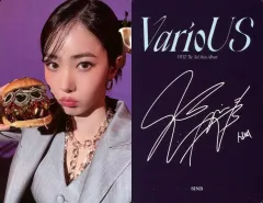【中古】コレクションカード(女性) VIVIZ/シンビ(SinB)/裏面黄・印刷サイン入り/CD「VarioUS(Photobook Ver.)」フォトカード(OFF&ON Ver.)