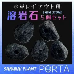 アクアリウム 溶岩石 ５個　水草レイアウト用（穴あけ加工済）のサムネイル