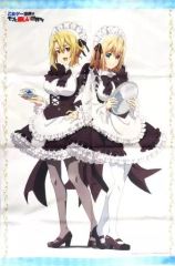 非売品）ローゼンメイデン アニメイト特典イラスト色紙 翠星石＆蒼星石