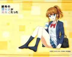 2026年最新】継母の連れ子が元カノだった blu-rayの人気アイテム 