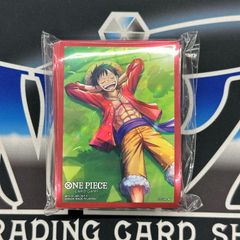 ワンピースカード プロモーションスリーブ ロビン 10枚 限定 非売品