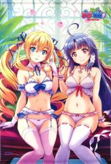 もっしー様専用】ToLOVEる 原画展 クリアポスター モモ 金色の闇 水着