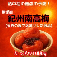 農家直送！紀州南高梅 10kg つぶれ梅 無添加 - メルカリ