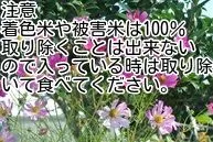 お買い得7年山形産ブレンド上白米30kのサムネイル