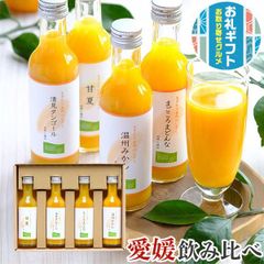 飲むみかん＆山北みかんジュース 12本まとめ売り 720mL 果汁100