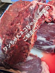 Item thumbnail for item 37d7bd17-7325-4367-88bb-ba4f8739f021