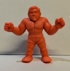 ☆春一番様専用☆ 藤波辰爾 長州力 「ザ・プロレスラー 」 プロレス