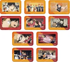 【中古】バッジ・ビンズ 全10種セット 「ハイキュー!! ランダム場面写缶バッジBOX」