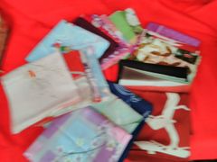 Item thumbnail for item 604ba09c-a4f6-4466-9a8d-d1babb313eba