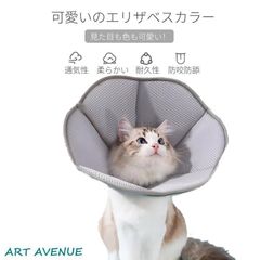 Item thumbnail for item 6f203a9b-50a7-4c5b-bf62-e43186fbc1e2