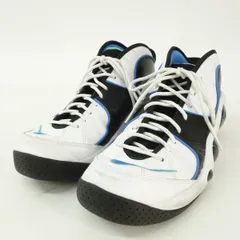 NIKE ナイキ AIR ZOOM FLIGHT 95 エア ズーム フライト DM0524-100 US10 28cm 箱無し ※中古