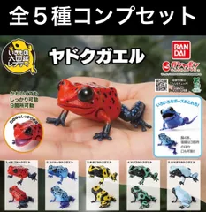 いきもの大図鑑　ヤドクガエル　全種コンプリートセット（全５種）