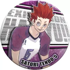 【中古】バッジ・ピンズ 天童覚 「ハイキュー!! コレクション缶バッジ 第7弾」