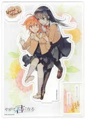 やがて君になる ブロマイド ミニ色紙 小糸侑＆七海燈子 18点セット Amazon.co.jp: やがて君になる 百合 小糸侑 七海燈子 クリアファイル