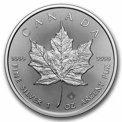 2026年最新】メイプルリーフ銀貨の人気アイテム - メルカリ