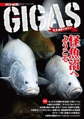 怪魚飼育マガジン　GIGAS 8冊セット 雑誌 怪魚飼育マガジン GIGAS 8冊セット