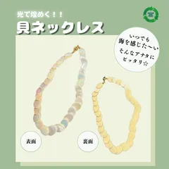 【貝】ネックレス