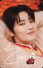 StrayKids 2023 Xmas POPUP STORE I.N トレーディングカード