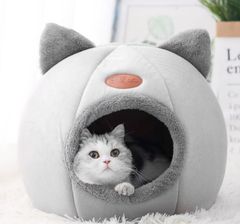 Item thumbnail for item 4eb81cf1-b99a-4808-ad7a-a7dcdbbcfc34