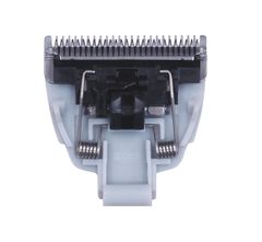 Item thumbnail for item 2d4608c2-6089-48c1-b019-fdd607575f4d