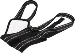 Item thumbnail for item 10bb334e-f53c-43d5-a469-0429f65a437f