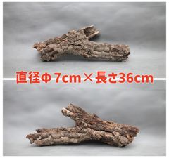 W454 ポルトガル産 キャノンコルク コルク樹皮 コルク板 バージン