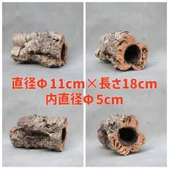 2025年最新】コルク樹皮 キャノンの人気アイテム - メルカリ