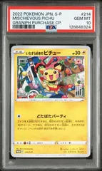 2025年最新】ピチュー psa10の人気アイテム - メルカリ