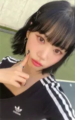 【中古】コレクションカード(女性) LE SSERAFIM/KIM CHAEWON(キム・チェウォン)/CD「日本2ndシングル UNFORGIVEN」UNIVERSAL MUSIC STORE 初回限定メンバーソロジャケット盤 計5形態セット購入特典フォトカ