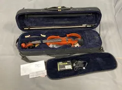 2025年最新】エレキバイオリン Valenteの人気アイテム - メルカリ