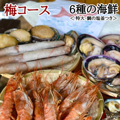 皓介の特上海鮮BBQ「梅コース(6種)」海鮮 バーベキューセット （特大・鯛の塩釜付き）