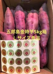 宮崎県産ブルーマンゴー【10kg】大玉多め‼︎ 150-290g含む 宮崎県産ブルーマンゴー【10kg】大玉多め‼︎ 150-290g含む | Mercari