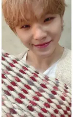 【中古】コレクションカード(男性) SEVENTEEN/WOOZI(ウジ)/CD「JAPAN SPECIAL SINGLE『あいのちから』」UNIVERSAL MUSIC STORE特典フォトカード