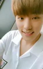 【中古】コレクションカード(男性) SEVENTEEN/DINO(ディノ)/バストアップ・衣装白・歯見せ/5TH MINI ALBUM『YOU MAKE MY DAY』(MEET Ver.)特典トレカ