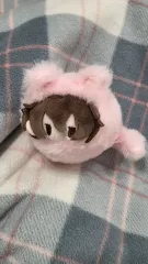 文豪ストレイドッグス 太宰 治 Haruにゃんこ 春 猫 くるみたぴぬい ぬいぐるみ