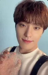 【中古】コレクションカード(男性) SEVENTEEN/DINO(ディノ)/裏面緑/CD「JAPAN 1ST EP DREAM」(CARAT盤)封入特典フォトカード